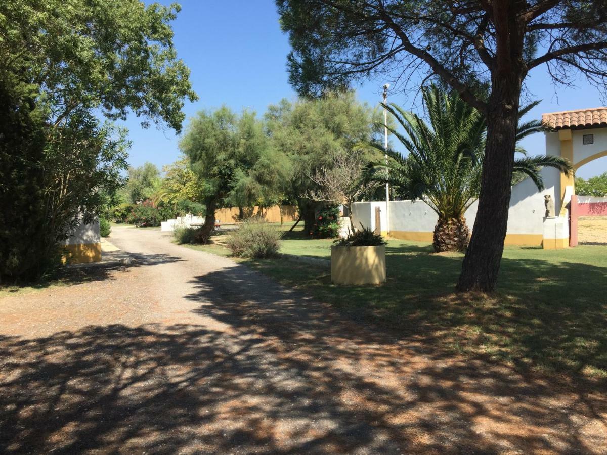 El Rocio 1 Gites Equestre 圣马迪拉莫 外观 照片