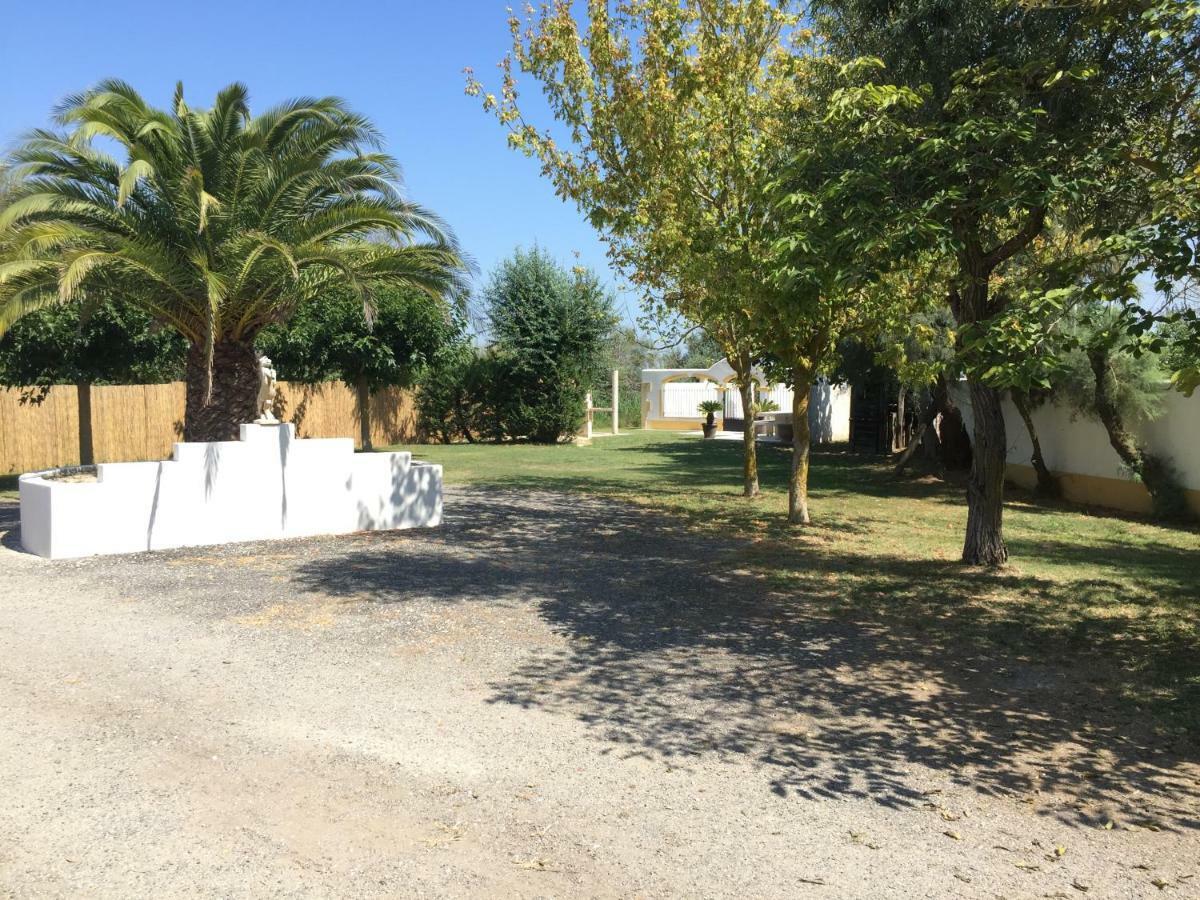 El Rocio 1 Gites Equestre 圣马迪拉莫 外观 照片